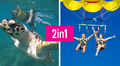 Swim And Fly Tour Package