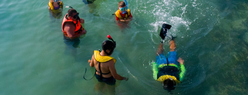 Snorkeling For Beginners
