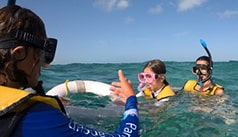 Snorkeling For Non-Swimmers In Cancun