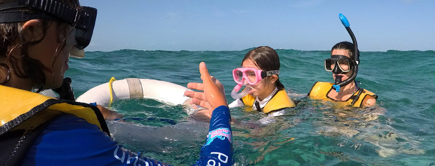 Snorkeling For Non-Swimmers In Cancun

