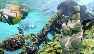 Snorkeling In Cancun With Turtles, Reef, Underwater Statues, Shipwreck And Underwater Cenote