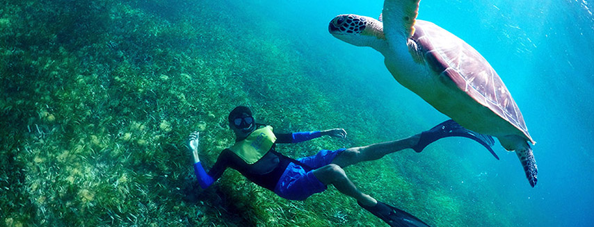 Enjoy the natural beauty underwater