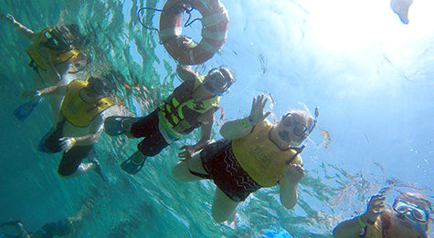 A tour to Enjoy with your family
