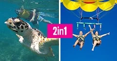 Swim and Fly