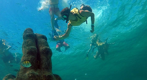  Enjoy the astonishing underwater statues