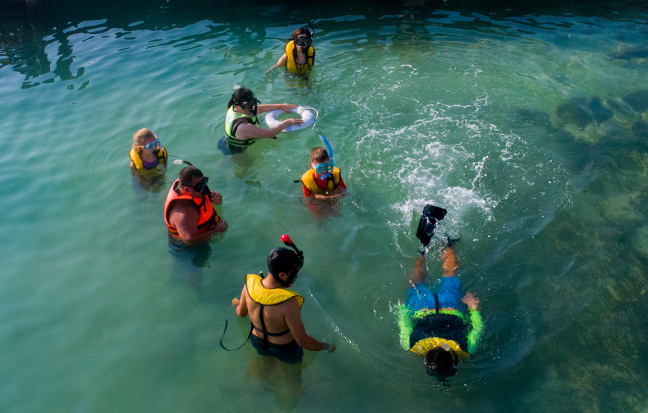  Totalsnorkel briefing