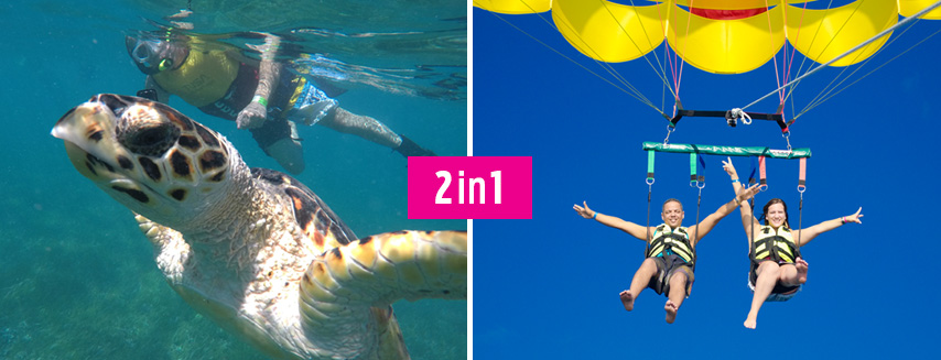 Swim And Fly Tour Package