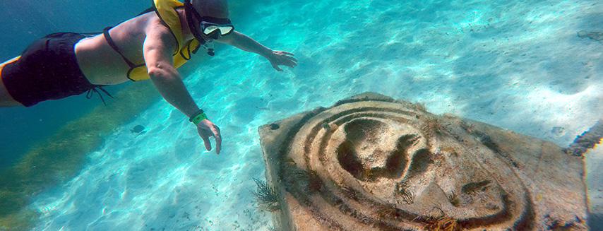 Visit a lively coral reef