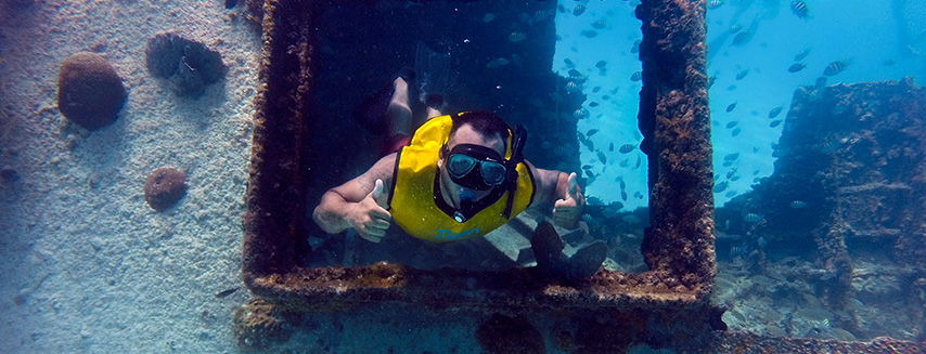 Swim with sea turtles